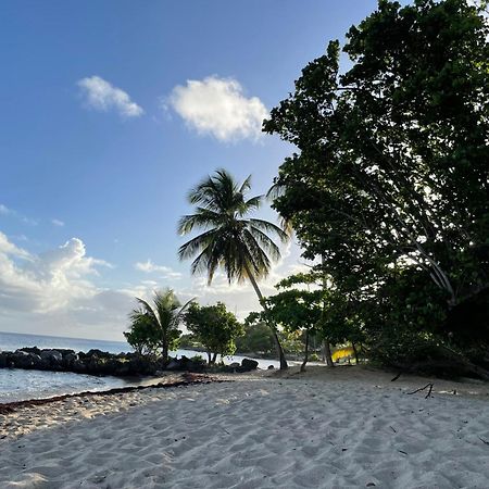 Villa Caraibes 圣吕斯 外观 照片