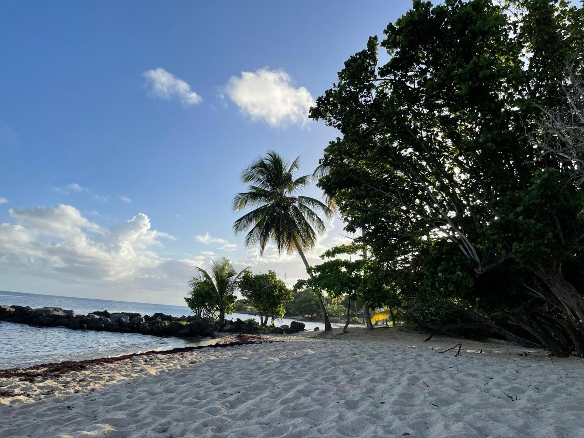 Villa Caraibes 圣吕斯 外观 照片